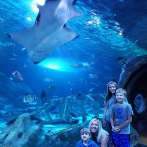 Meet your Posher, Stacy